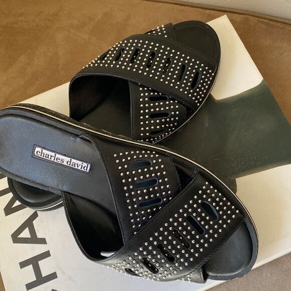 Charles David Slide NWOT - Picture 4 of 8